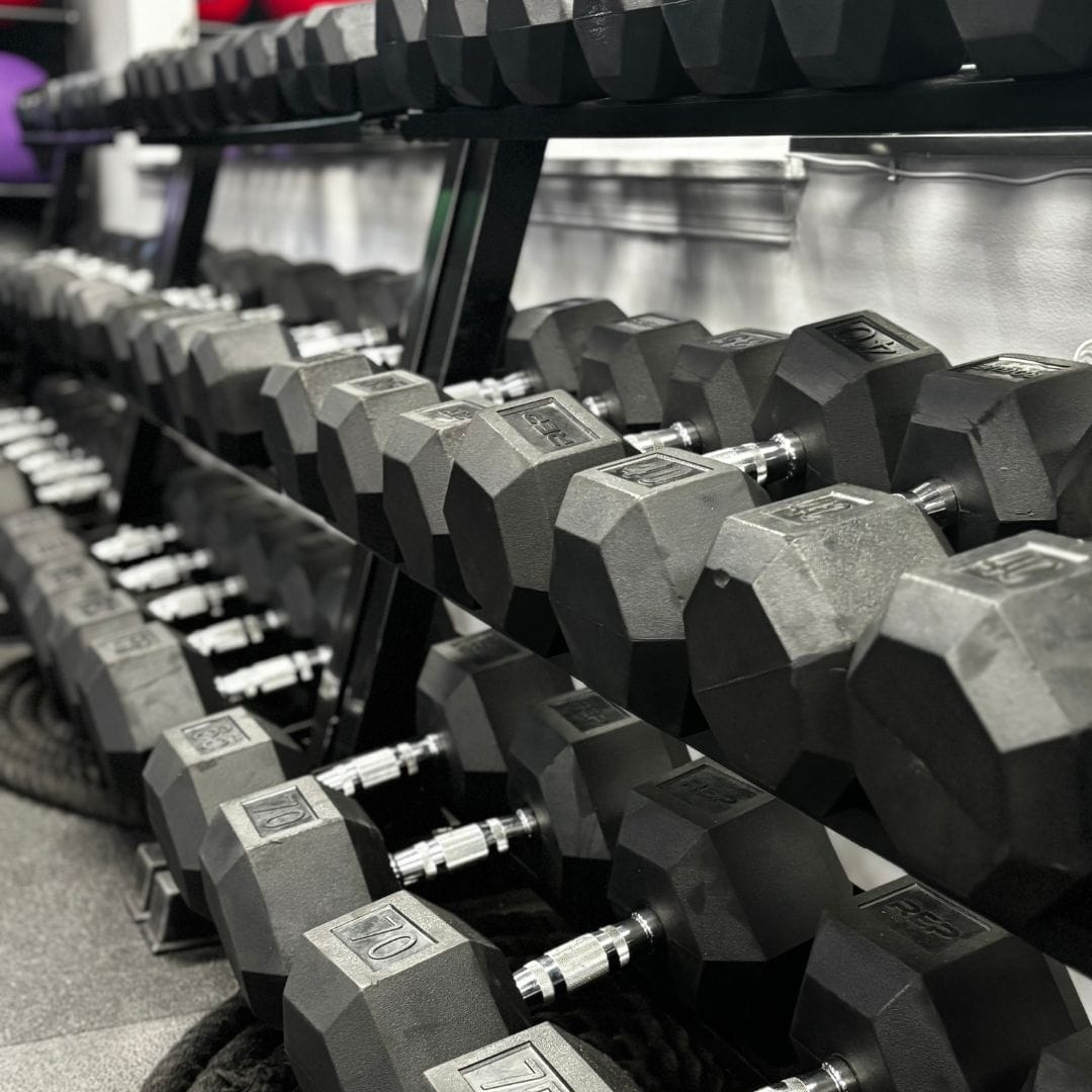 dumbbells equipment at Oakton Strength Systems